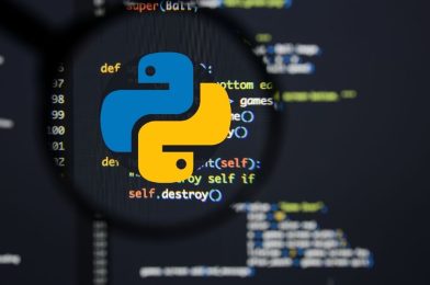 Python  – A Programing Language